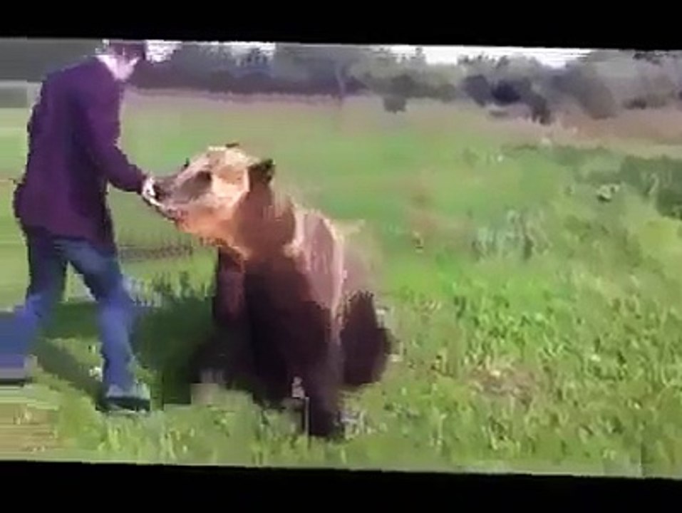 Guy Gets His Bear to Do Crazy Tricks!