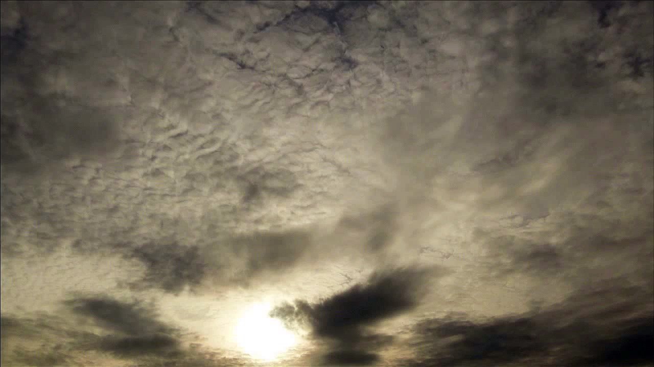 Phorin - Endormissement Particulier