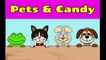 Pets & Candy. Cute animals (Game)