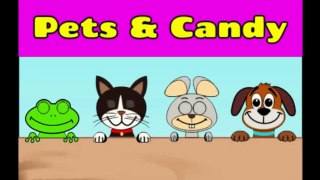 Pets & Candy. Cute animals (Game)