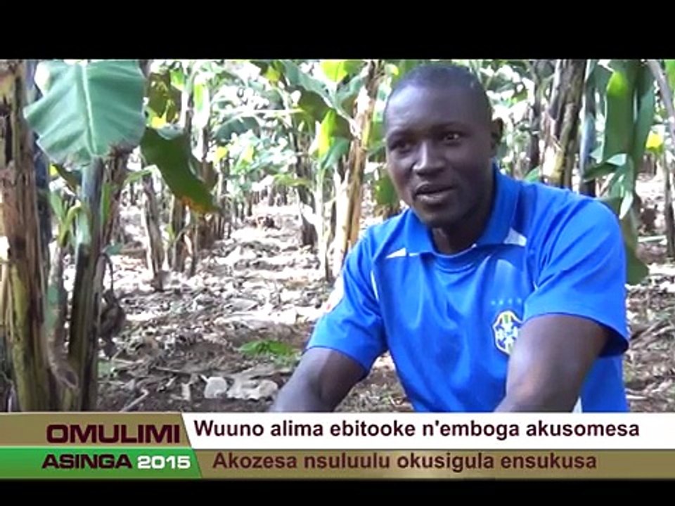 Omulimi Asinga: Wuuno alima ebitooke n’emboga akusomesa