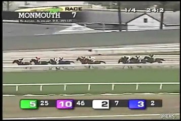 Horse Race With Funny Names
