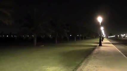 Awesome RC Helicopter Skills