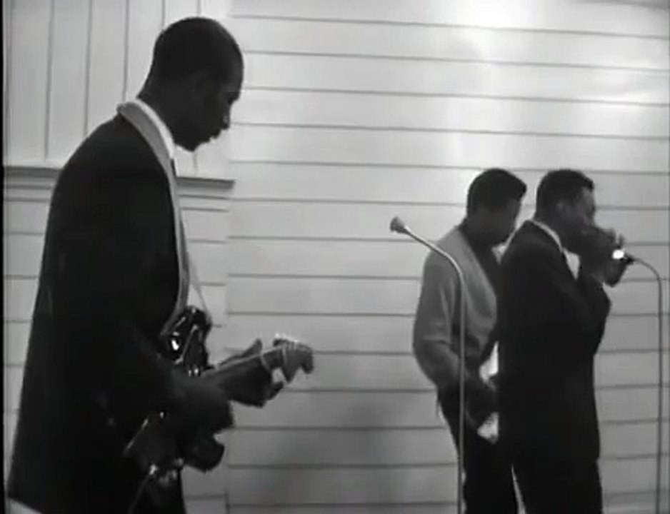 Hound Dog Taylor - Little Walter - Koko Taylor