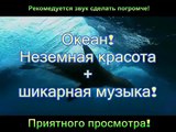 Океан! Неземная красота + шикарная музыка!
