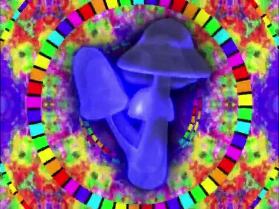 Majic mushrooms-1200 Micrograms