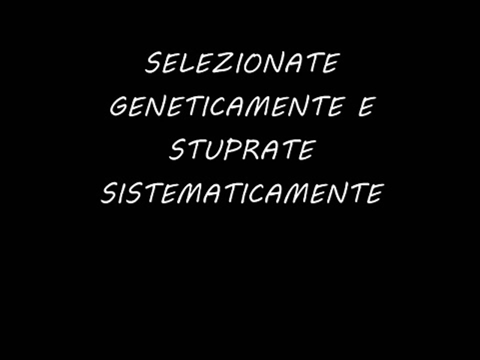 Le mucche, i vitelli e gli allevamenti per la produzione di latte