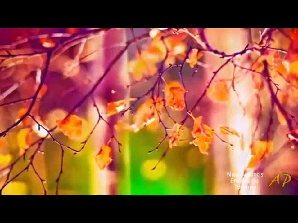 Emisiunea Radio-Tv Arthis din 11 septembrie 2015 /P2- ro