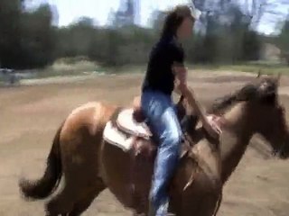 Sheza Royal Star, 5 yo mare by AR Star (by Shawne Bug) out of Lotta Royal Promise (by Royal Go Go)
