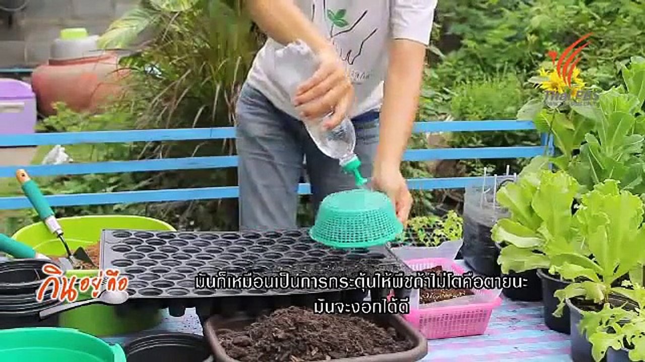 กินอยู่...คือ  : น้ำสลัด อร่อย ง่ายได้ที่บ้าน  (10 ส.ค. 57)