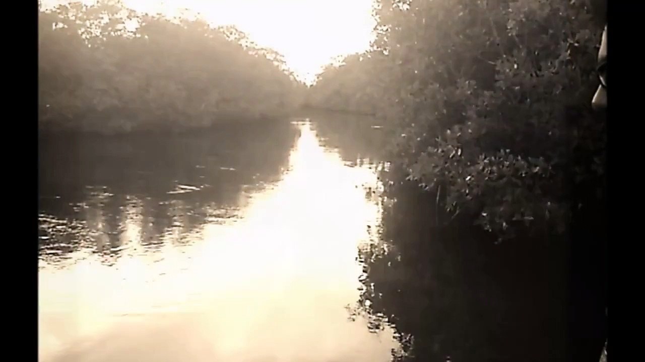 Welcome to " Let's Go Fishing! South Florida."