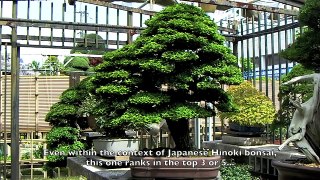 The Bonsai Art of Japan - Episode 4