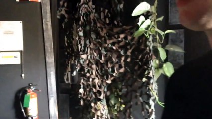 Fright Walk - Santa Cruz Beach Boardwalk