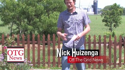 All Natural Bug Spray Recipe That REALLY WORKS! - Off The Grid News