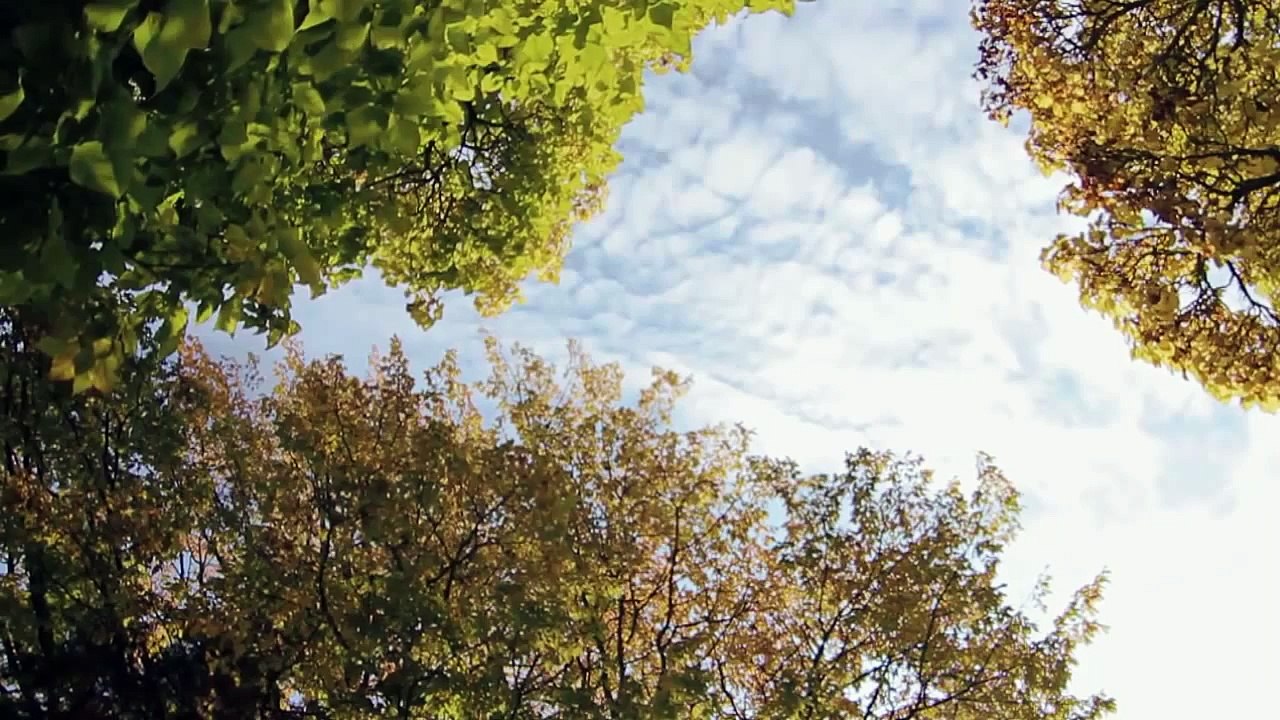 Take this moment to feel good: Main Mall