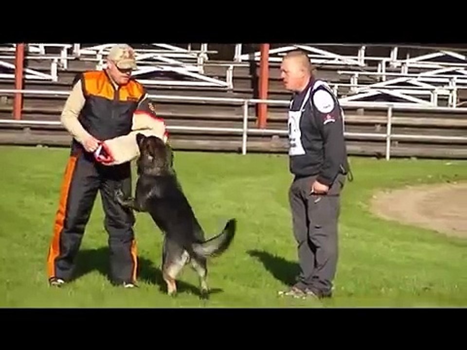 DM Dansk Politihundeforening 2013