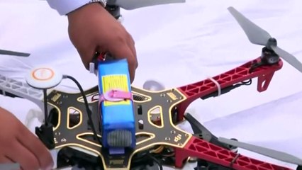 Drones used to protect sea turtles