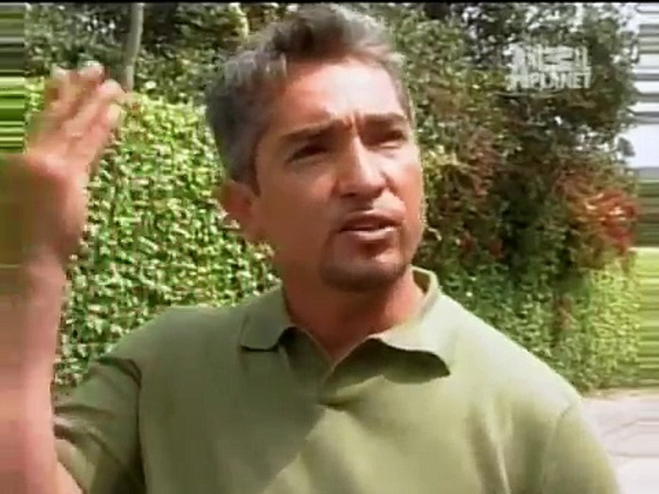 o encantador de cães chihuahua endiabrado pt 2 o brilho pt 1