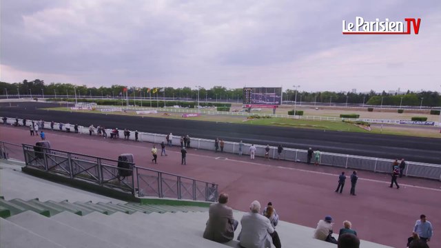 A cheval : la reprise de Trêve et les pronostics pour les courses d'Auteuil