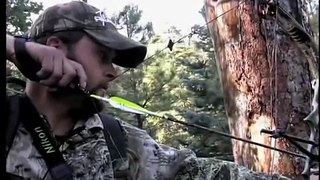 New Mexico Elk Hunt - Monster Bulls4 - Timberline Outfitters