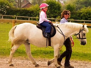 WHITE HORSES. CLWYD. R.D.A.  LLANFYNYDD , NORTH WALES
