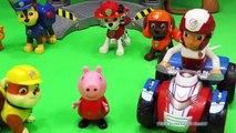 PAW PATROL Nickelodeon Paw Patrol & Peppa Pig in the Hospital a Paw Patrol Video Parody
