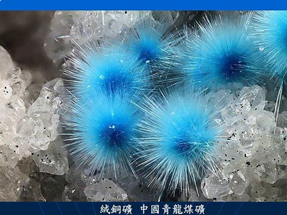 Exquisit and Precious Stones 最珍貴的石頭開花，千萬年難得一見