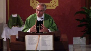Nineteenth Sunday in Ordinary Time (Year B) - Fr. Hahn