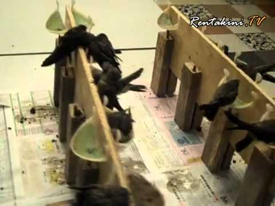 Integrated Farming