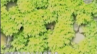 会津若松市史　会津鶴ケ城その歴史と四季 四季雪月花