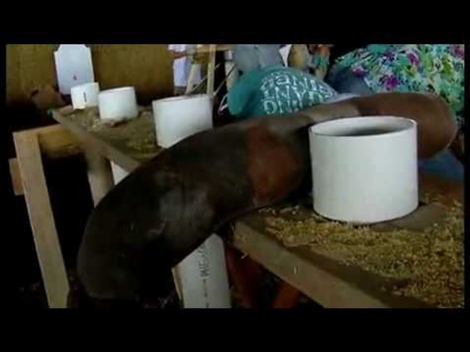 'Oily Hair' - Hair Boom Documentary