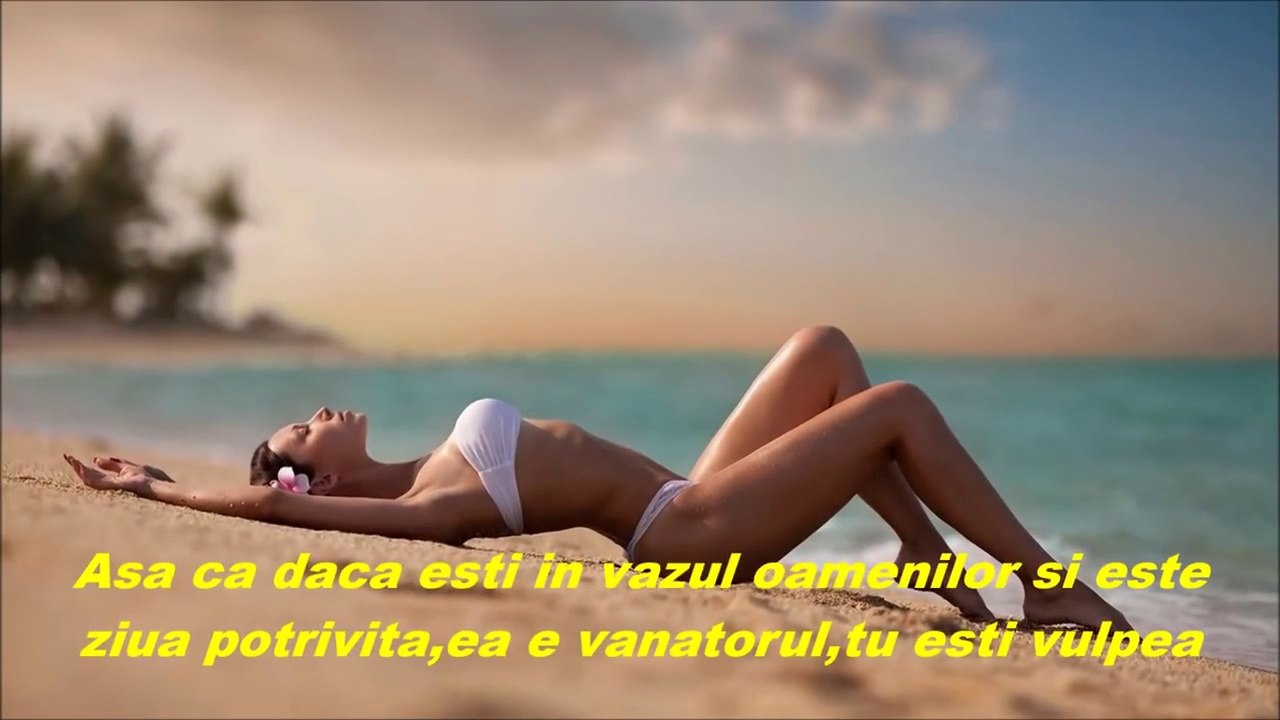 Tot ce ea își dorește -  Ace Of Base