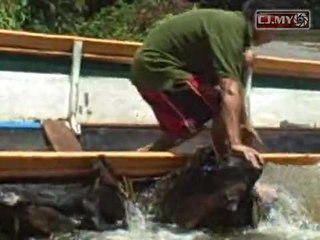 Boat Overturned in Long lamai