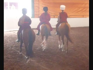 Akhal-Teke Horses at Celebrate the Horse Expo, July  2008