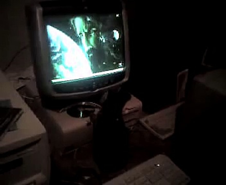 Crazy Cat Meets Computer