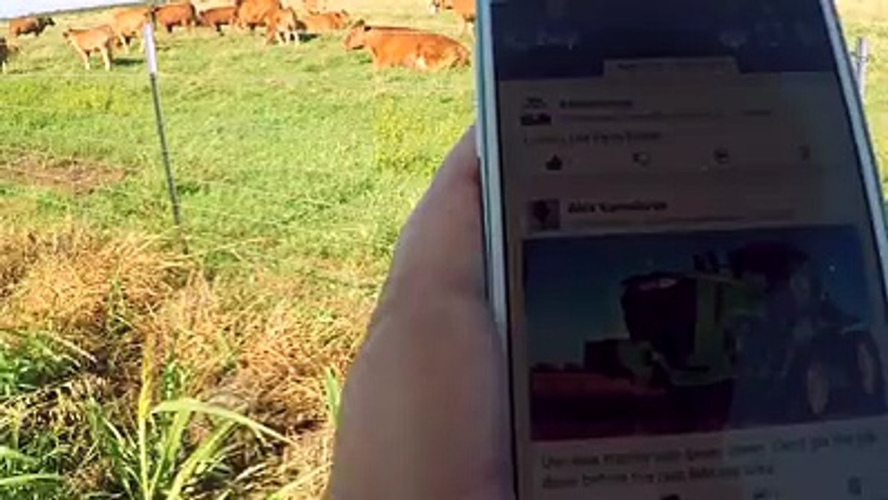 Locye app rivew | explore the world