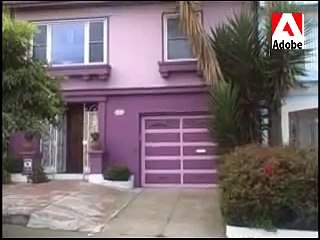 Diary of Kitty, the Barking Cat