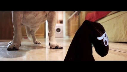 WISHWASH---'Well-Done-U-2015'-BBC-Film-Compet