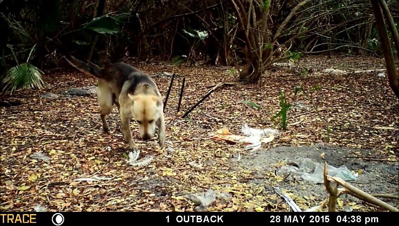 Moultrie Premise wildlife 3