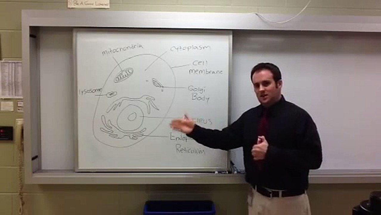 Mr. Kosensky reviews the components of an animal cell