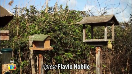 CHM Lipu Ostia - "Le mangiatoie artificiali"