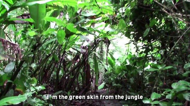 Viajar por Colombia | YO SOY COLOMBIA, comunidades indígenas en Colombia