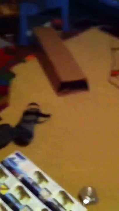 New filter, hatching triops,new Oscar fish and more!