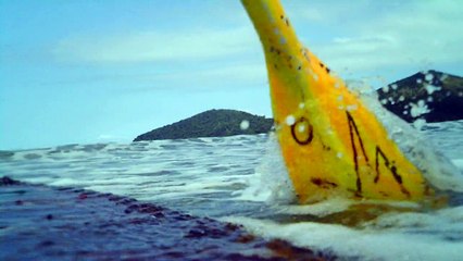 Navegando nos mares reciclados, Ubatuba, SP, Brasil