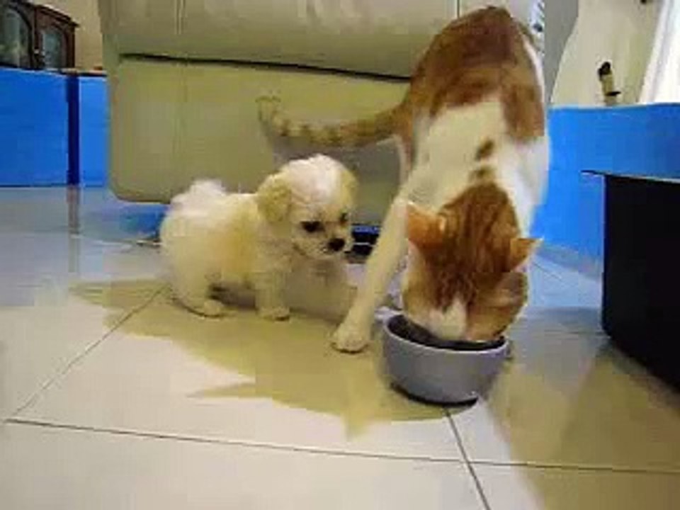 שיעור קצר בסבלנות