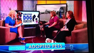 Missy & Rachael talk about Pet Rescue on the Kerri-Anne Show