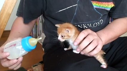 ミルク飲んでくれた