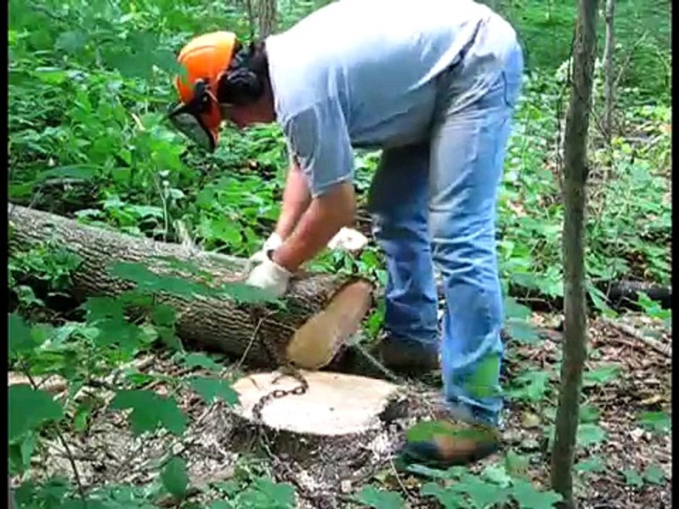 A Load of Firewood