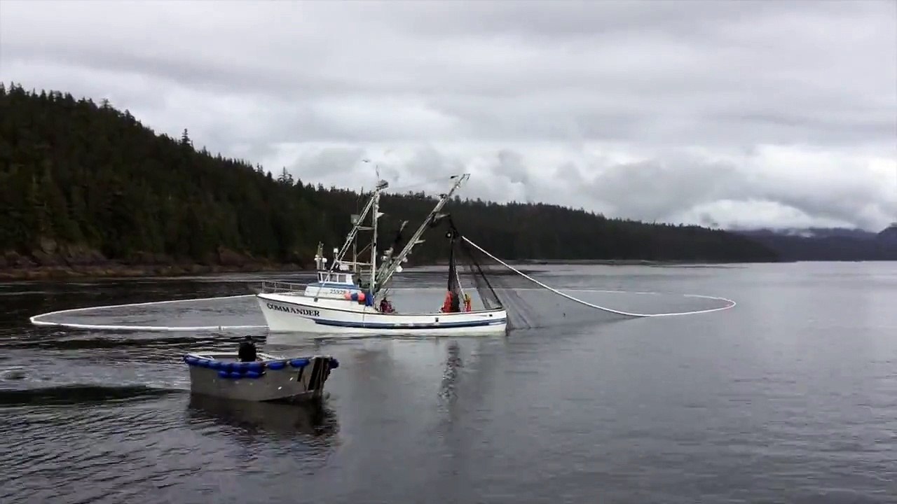 How Wild Salmon is Caught in Alaska