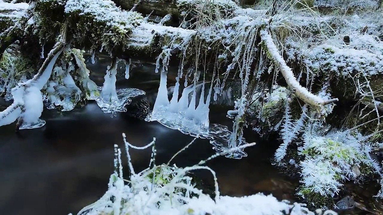 North (timelapse)